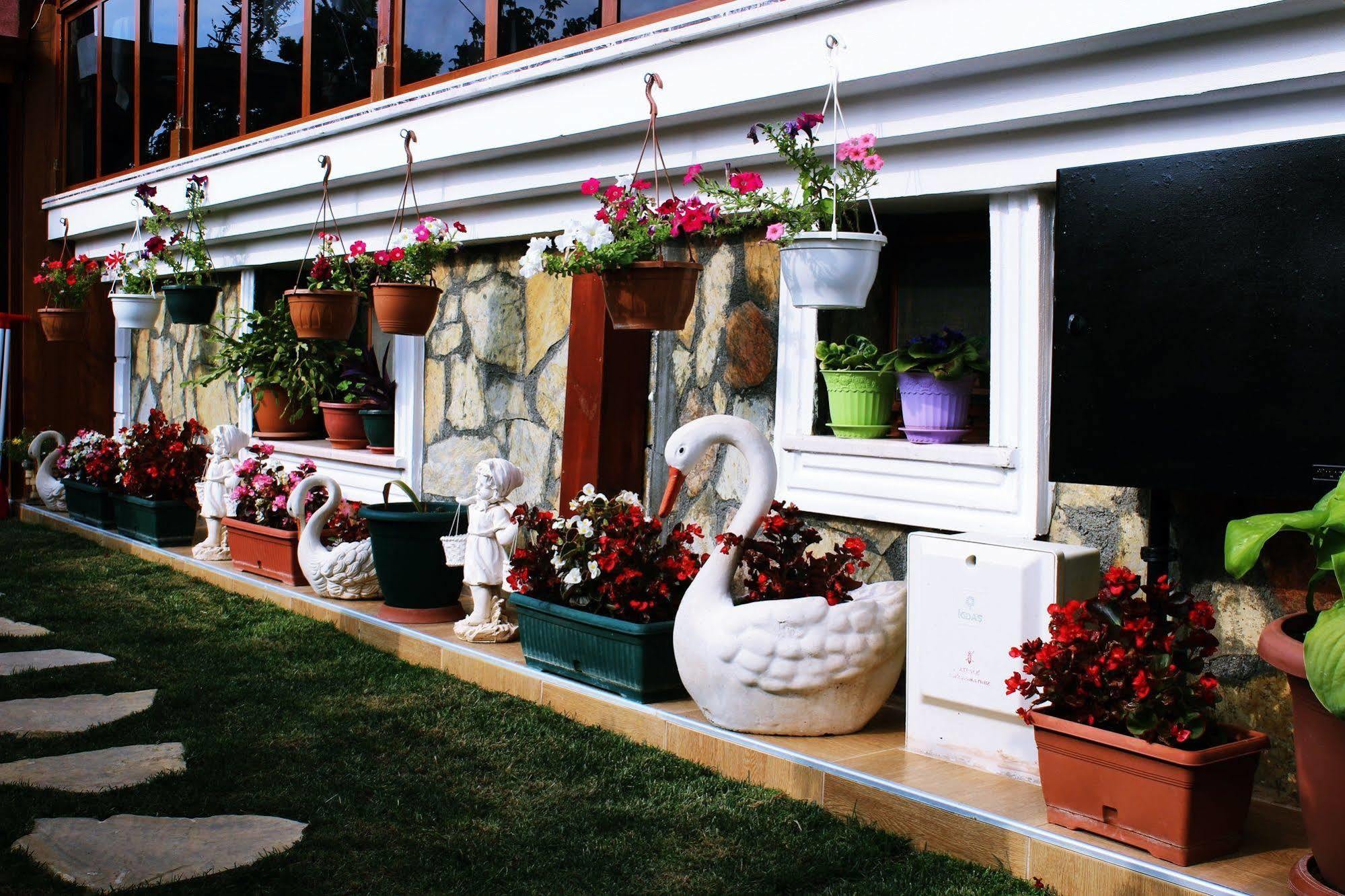 Agva Sahil Yildizi Hotel Exterior foto